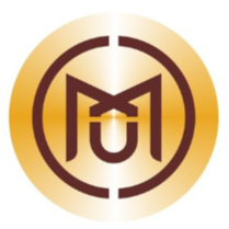 MXM Token