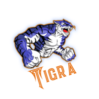 Tigra Coin